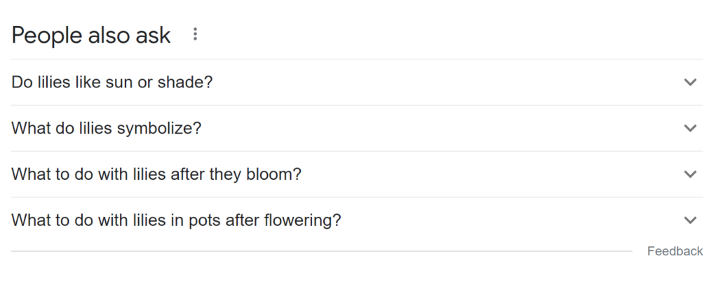 lillies-search-google-paa