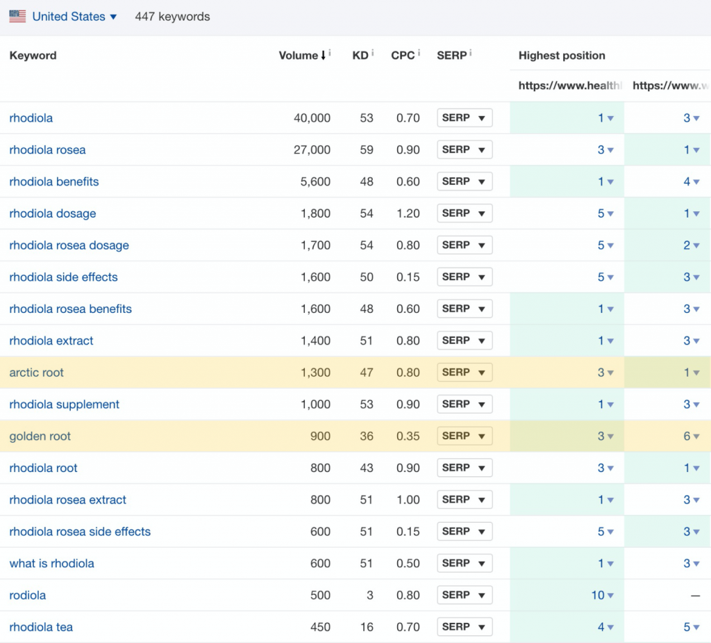 Screenshot with the list of pages and ranking keywords returned by ahrefs.
