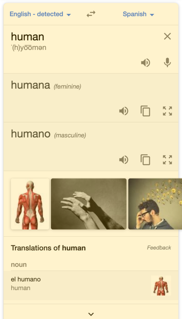 Translation Box search result on a mobile device